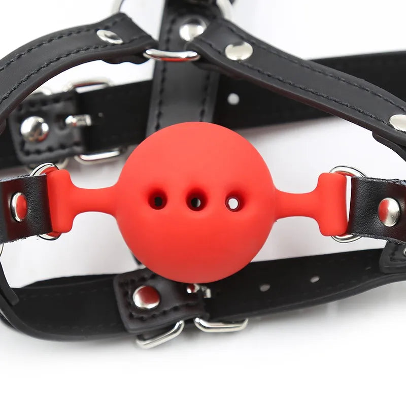 Harness Silicone Ball Gag