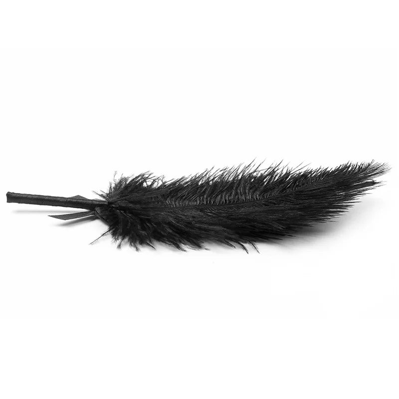 26cm Couples Flirt Feather Whip